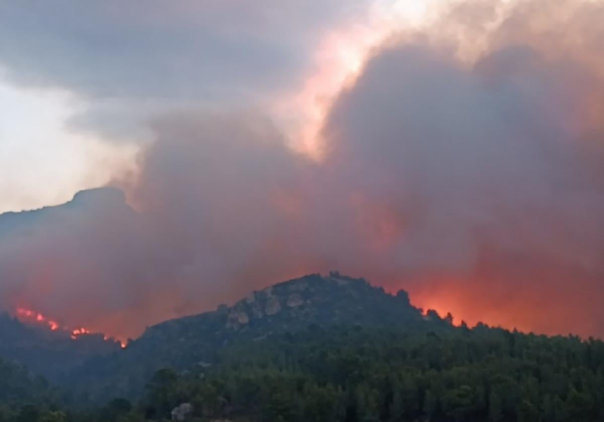 El incendio forestal de Paüls, Tarragona.