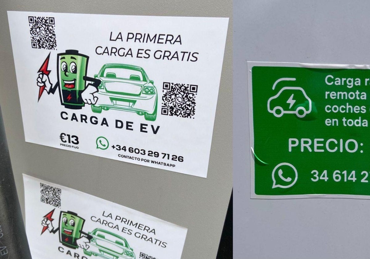 www.diariosur.es