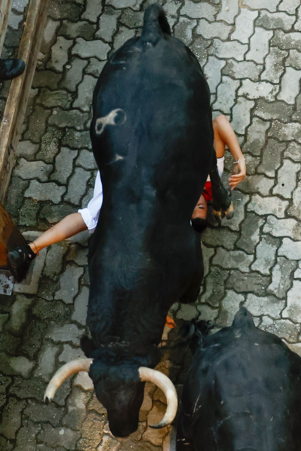 El segundo encierro de San Fermín lo ha protagonizado una ganadería de peso y carácter: los Cebada Gago. Este año alcanza su 41ª participación en San Fermín. Desde las tierras de Medina Sidonia, Cádiz, llegan sus toros, conocidos por su velocidad fulgurante y una fiereza que impone respeto.