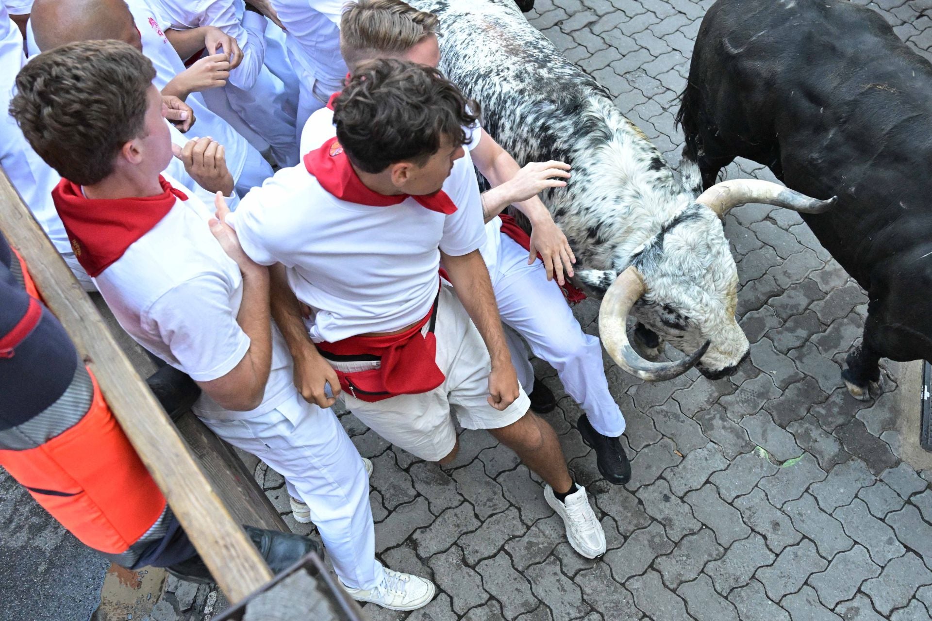 El segundo encierro de San Fermín lo ha protagonizado una ganadería de peso y carácter: los Cebada Gago. Este año alcanza su 41ª participación en San Fermín. Desde las tierras de Medina Sidonia, Cádiz, llegan sus toros, conocidos por su velocidad fulgurante y una fiereza que impone respeto.