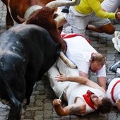 Un astado descansa en los Corrales del gas.