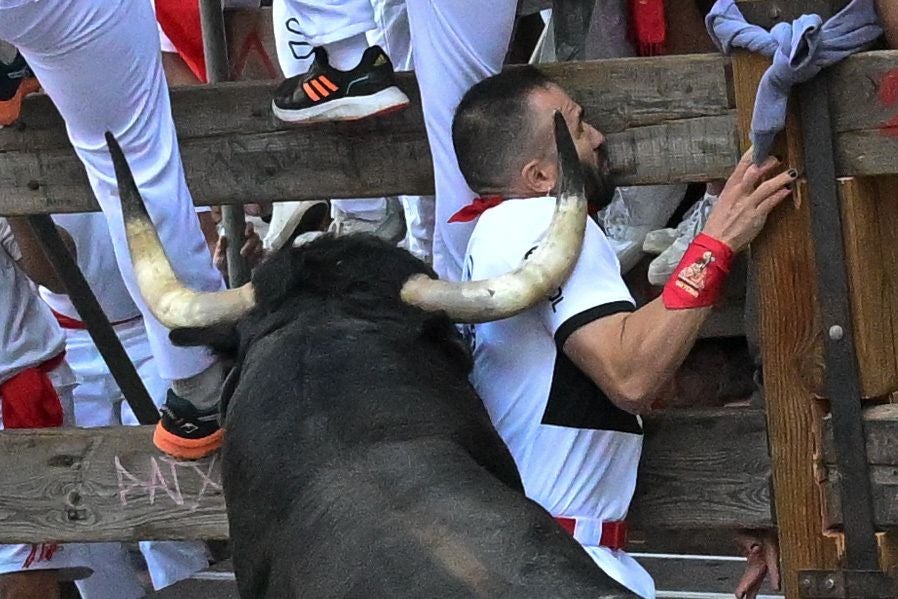 Los toros de la ganadería Cebada Gago son conocidos por haber protagonizado varios de los encierros más peligrosos en la capital navarra.