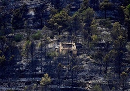 El incendio del sur de Tarragona, estabilizado