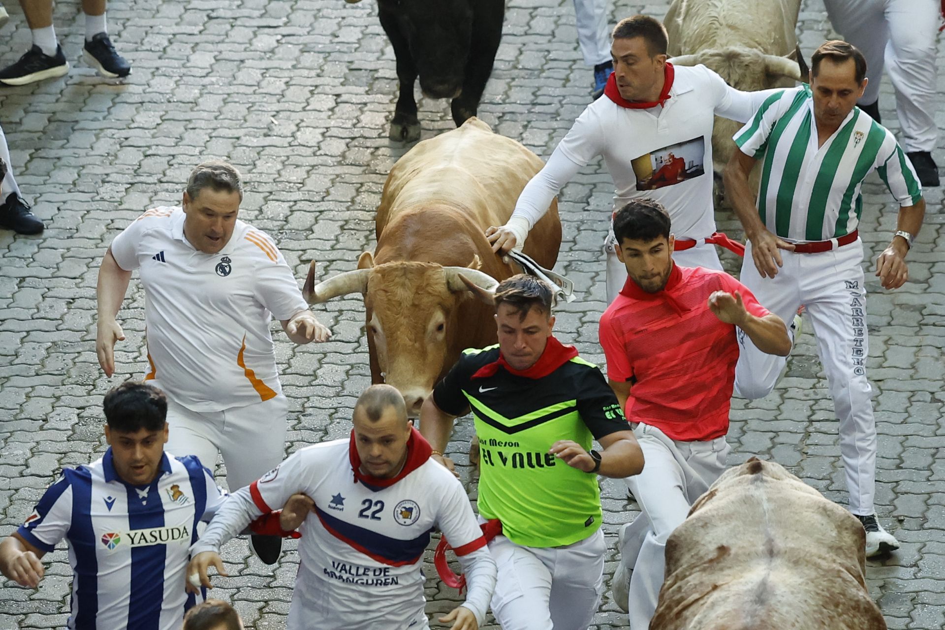 Por primera vez, los seis toros bravos de capas negras, coloradas y castañas han recorrido los 848,6 metros que separan los corrales de la plaza de toros y lo han hecho a un ritmo muy alto que ha dificultado que los mozos pudieran disfrutar de carreras bonitas. 