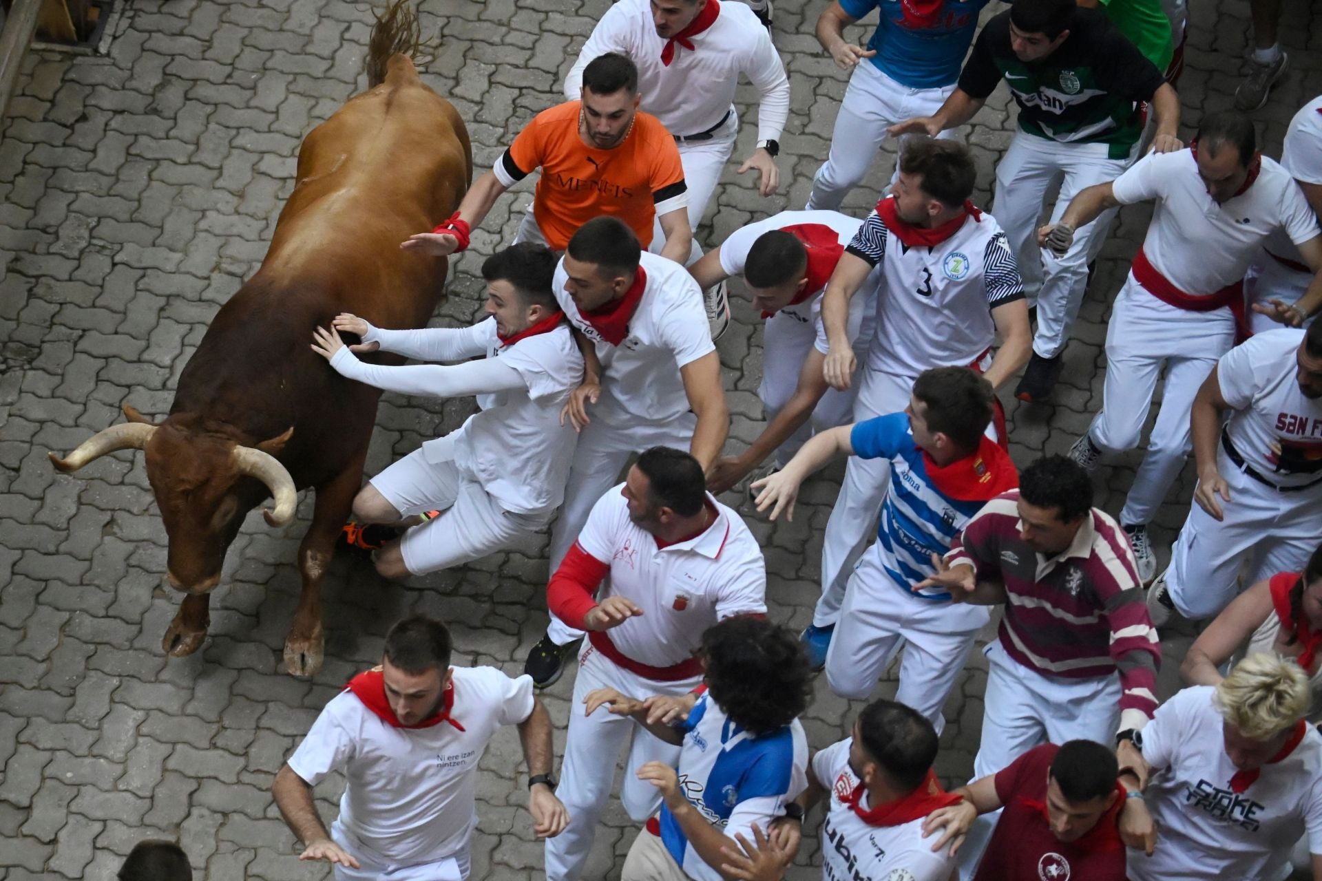 Uno de los toros de la ganadería Jandilla se abre paso entre los mozos en la llegada al callejón. 