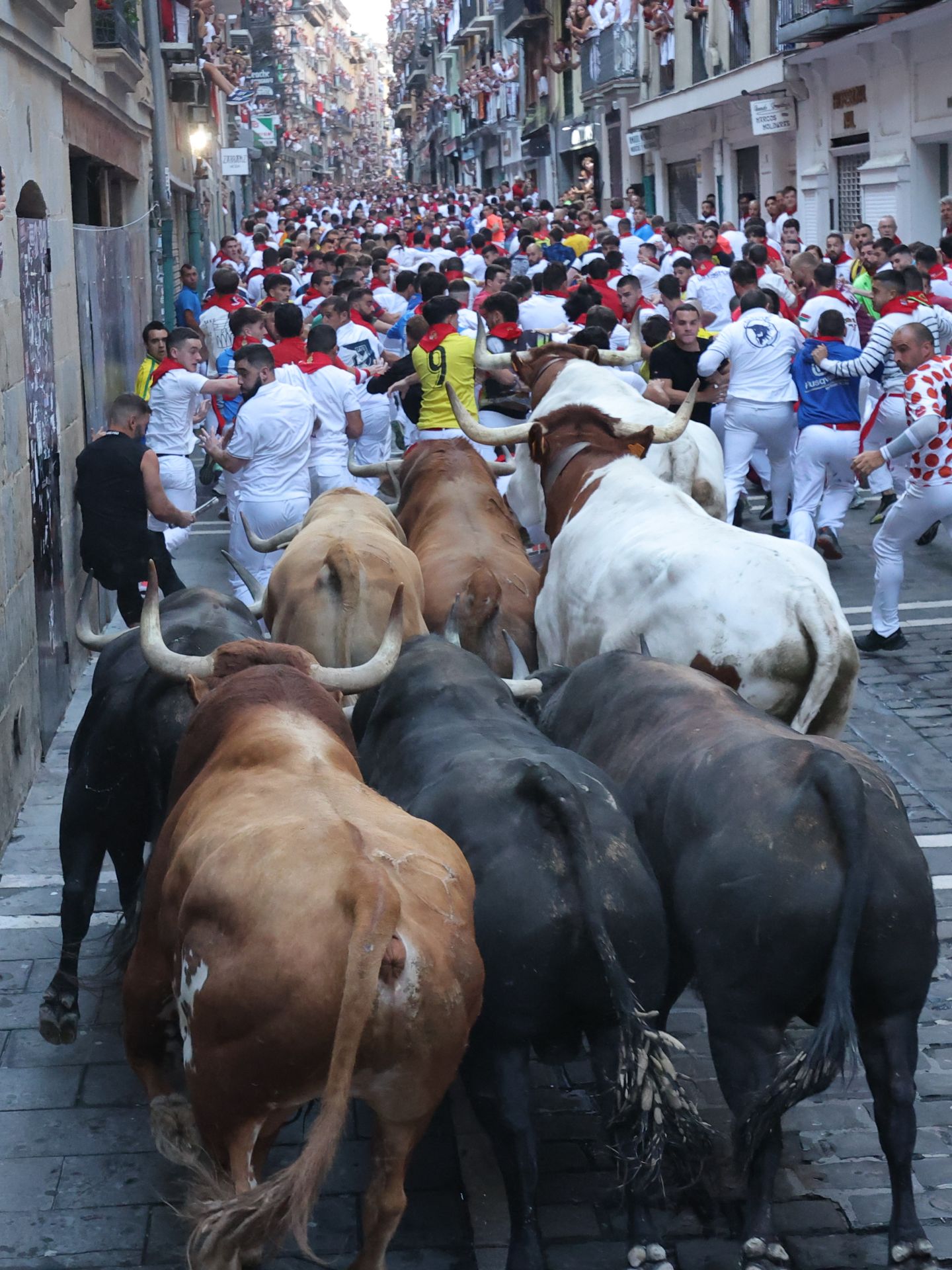 Impresionante imagen en la curva de Mercaderes Estafeta con la manda de toros y una auténtica riada humana por delante. 
