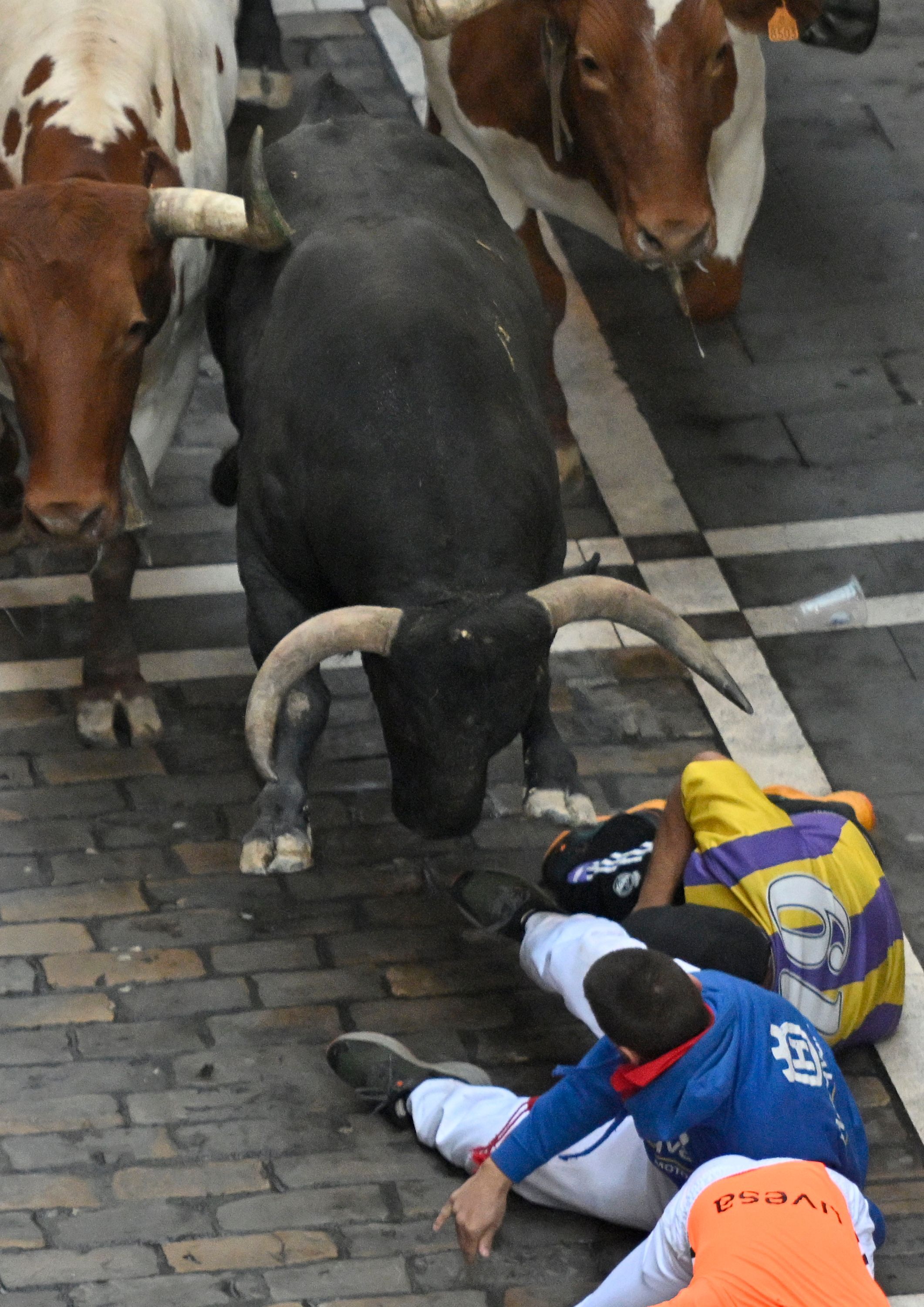 Jóvenes en el suelo tras tropezarse mientras los toros le pasan por encima.