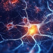 Un colosal mapa de proteínas para luchar contra el alzhéimer y el párkinson