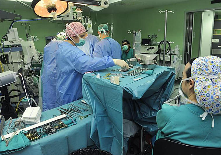 Descubren una molécula en el intestino que causa la aterosclerosis, que está detrás de las muertes por ataques cardíacos e ictus