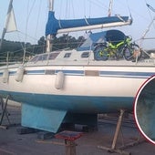 Velero francés que sufrió este lunes un ataque perpretado por orcas.