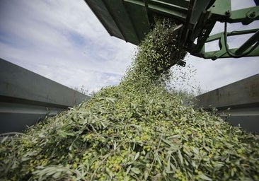 El campo se rebela contra un acuerdo comercial que el Gobierno respalda «sin ningún entusiasmo»