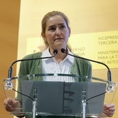 El Gobierno tramitará por vía urgente medidas incluidas en el decreto antiapagón que no pudo convalidar