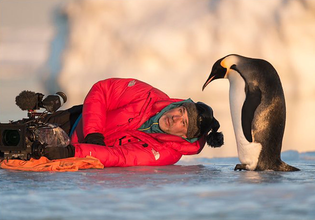 Luc Jacquet interactúa con un pingüino emperador en la Antártida.