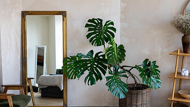 Espejito, espejito mágico... Decora y da amplitud a tu hogar con los espejos más bonitos del reino