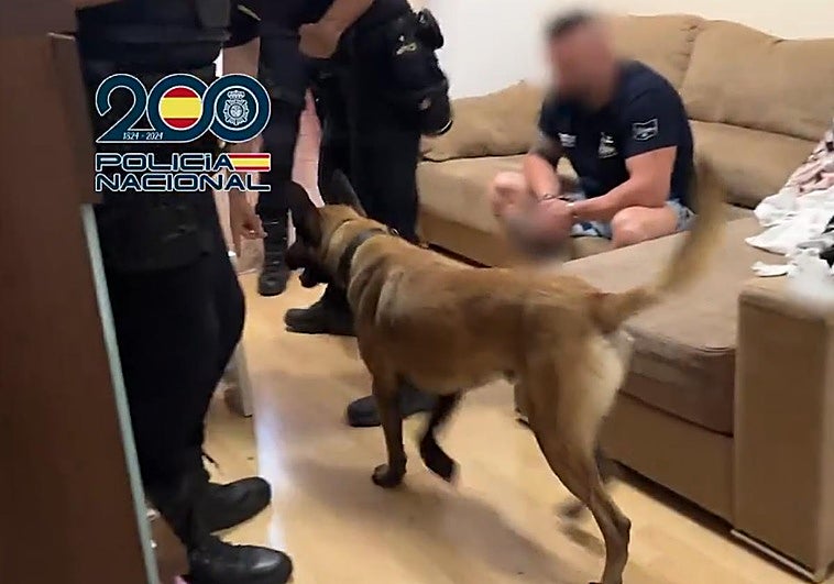 Foto de los agentes en la operación.