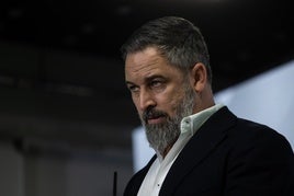 El líder de Vox, Santiago Abascal.