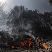 Área afectada por el incendio de la localidad navarra de Carcastillo.