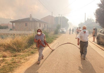 Incendio forestal