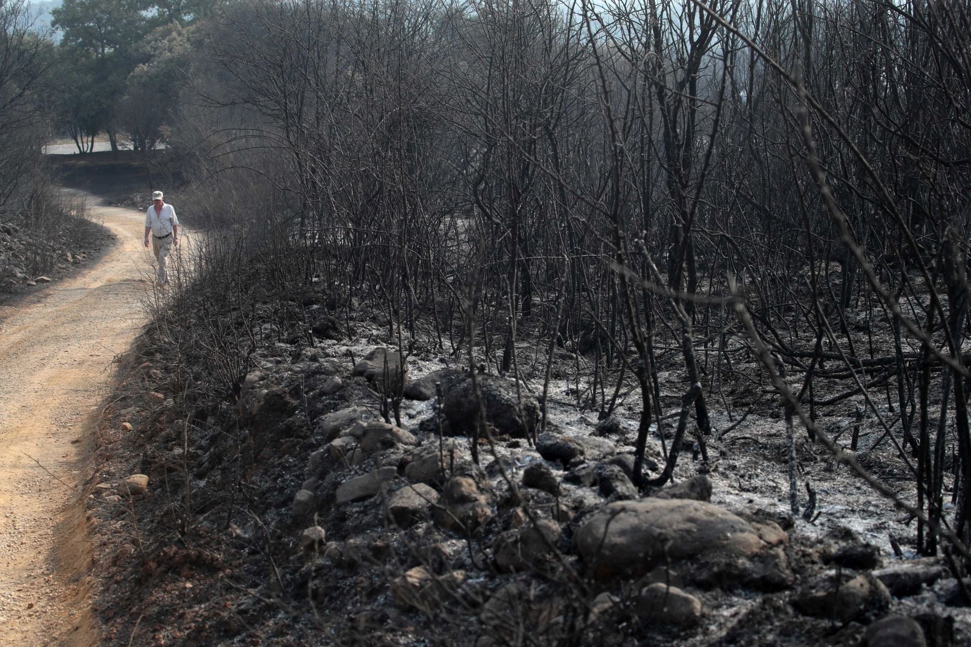 Hombre pasea por un camino calcinado en la localidad leonesa de Yeres