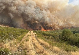Vista del incendio forestal de Puercas (Zamora)