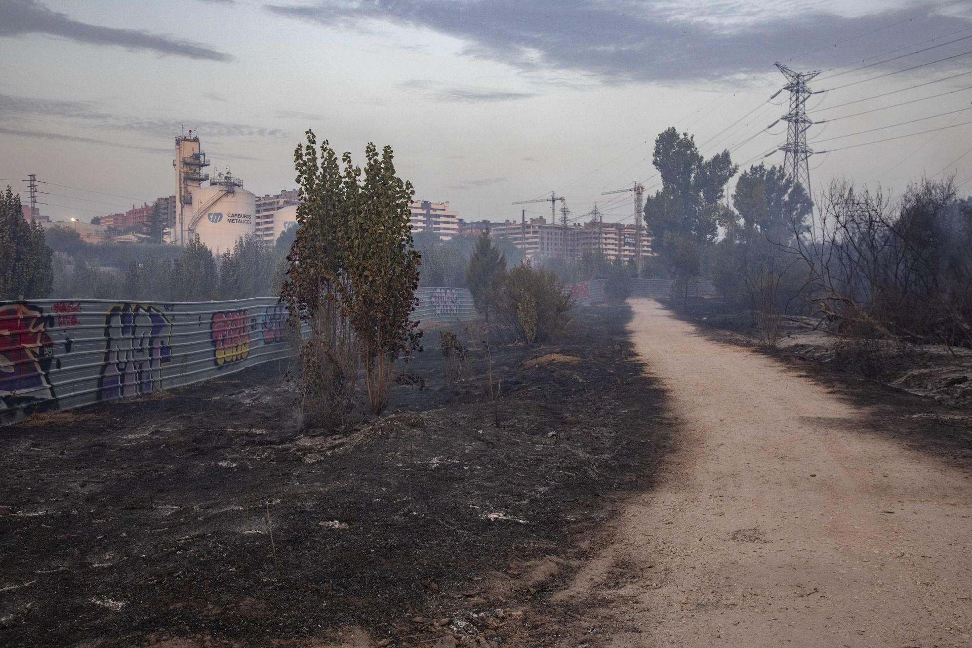 Campo quemado por el incendio de Tres Cantos, Madrid.