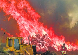 Bomberos portugueses lucha contra las llamas.