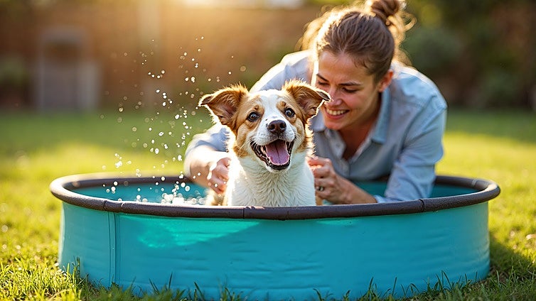 Las piscinas portátiles para perros que tu mascota amará desde el primer chapuzón