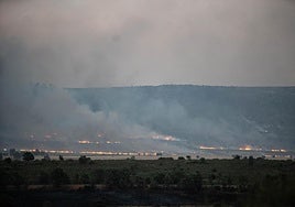 Vista del incendio de Puercas, en Tábara, Zamora, Castilla y León