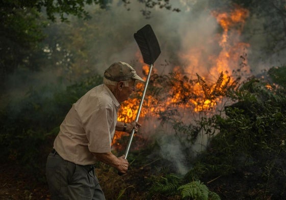 Un vecino de la aldea de Pareisás lucha contra en fuego en el incendio forestal que permanece activo en A Pobra de Trives (Ourense).