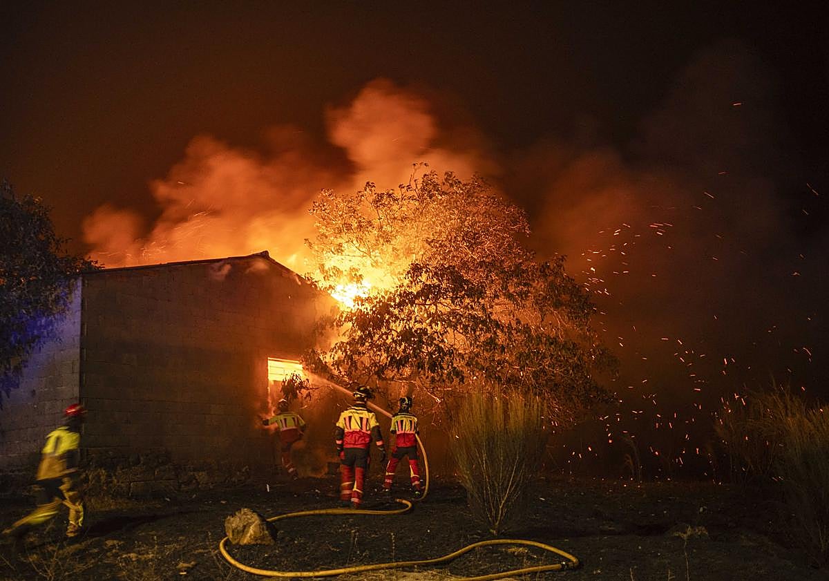 Imagen principal - Arriba, imagen de Losacio, en Zamora, Abajo, caballos por una carretera en medio de un área calcinada por el incendio forestal de Manzaneda (Ourense) y un helicoptero ayudando a la extinción en Abejera de Tabara, Zamora. 
