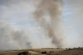 Declarado un incendio en el municipio madrileño de Colmenar Viejo