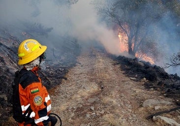 Los incendios avanzan cuatro veces más lentos desde el final de la ola de calor