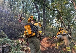 Bomberos forestales trabajan en el incendio de Jarilla.