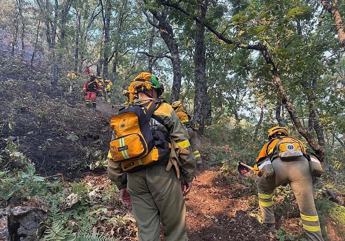 Bomberos forestales trabajan en el incendio de Jarilla.