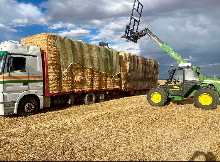 Finca agrícola de Rielves.