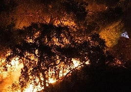 Dos bomberos refrescan la zona para evitar la expansión de las llamas.