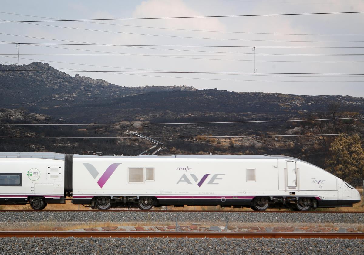 Renfe, genç yaz ile% 25 daha fazla bilet satıyor