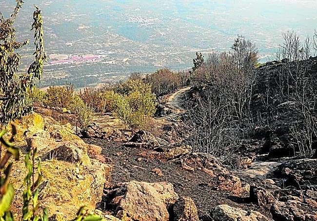 Zona alta del Valle del Jerte desde la finca de los Olmedo.