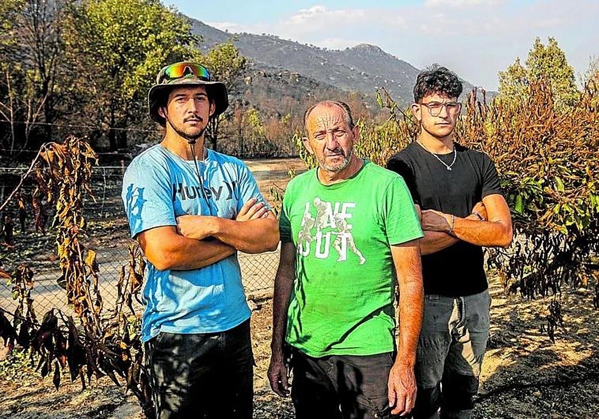 Jesús Olmedo junto a sus hijos Álvaro y Pablo en su finca del Valle del Jerte rodeados de cerezos abrasados por el fuego.