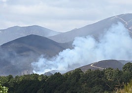 Los bomberos han frenado el avance de las llamas en el incendio de Fasgar (León).