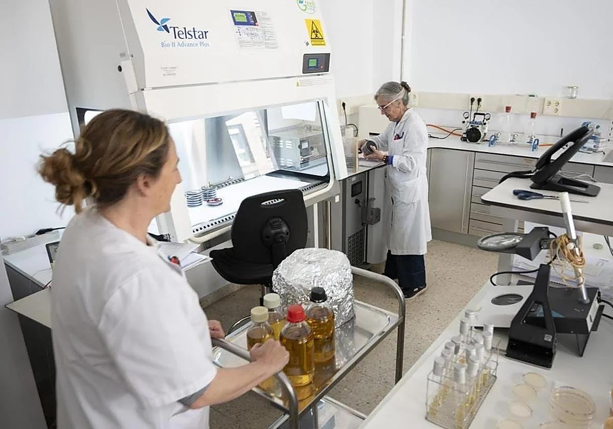 Personal del laboratorio de Salud Pública trabajando en el laboratorio.