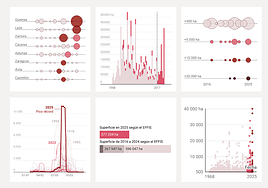 El balance final de los incendios: seis gráficos para entender un 2025 fatal