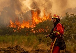 Un efectivo de la UME en el incendio forestal en Chandrexa de Queixa (Ourense), el pasado 12 de agosto.