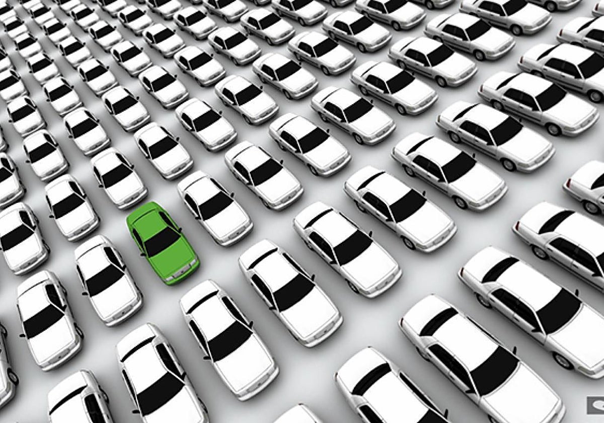 Fuerte inversión y gran peso en el Canal de empresas