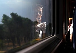 Viajera en un tren.