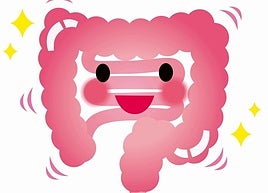 Tu dieta es 'tóxica' para tus tripas y no te lo acabas de creer