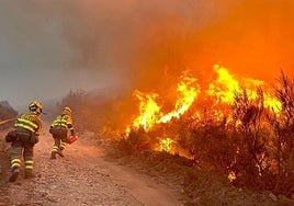 Muere un hombre en un incendio forestal en Villarejo de Órbigo (León)