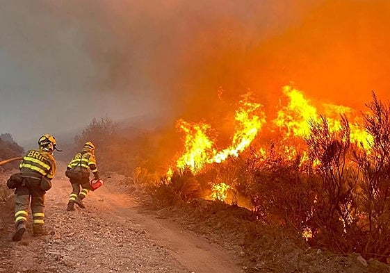 Muere un hombre en un incendio forestal en Villarejo de Órbigo (León)