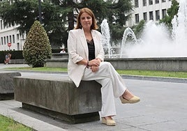 «No estamos de acuerdo con el peaje del Huerna, pero no puede anularse por razones políticas»