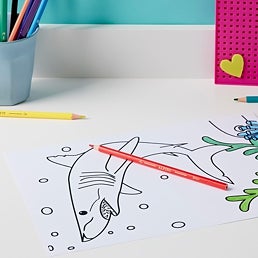 Formato cómodo y práctico